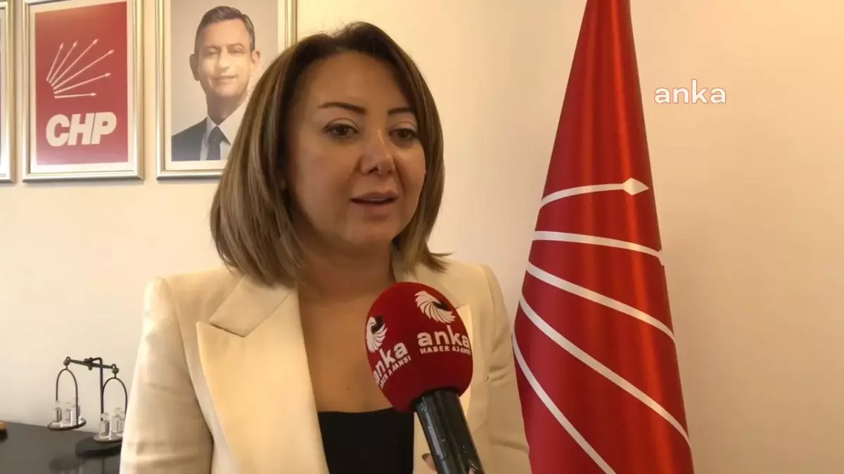 CHP’den Rıza Akpolat’ın Tutuklanmasına Sert Tepki