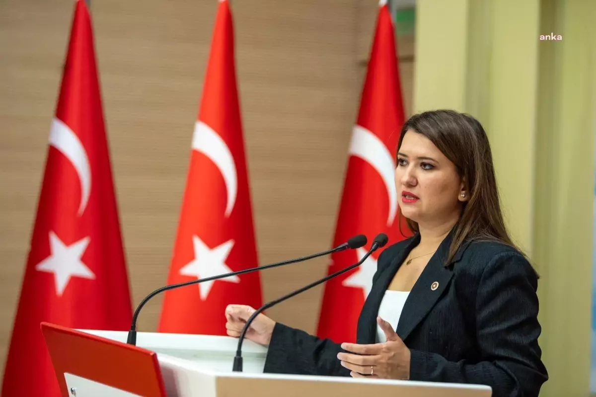 CHP’li Gökçe Gökçen’den Rıza Akpolat’ın Tutuklanmasına Tepki